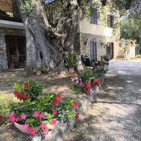 Agroturismo La Focazza